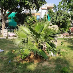 Jai Hind Park , Pocket-1, Sector-21D, Faridabad