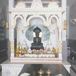 Jain Mandir Vardhman Coloni
