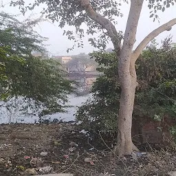 Jaipur Mandir Lake -Cleaning Project