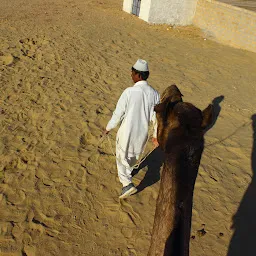 Jaisalmer camel safari