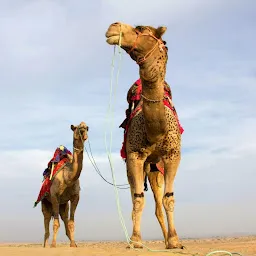 Jaisalmer Dunes Desert Safari