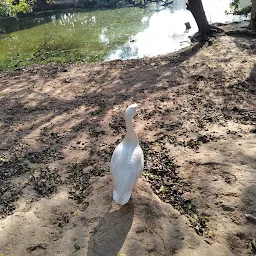 Jaitpur Pond