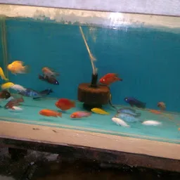 JAL Aquariums & Pet Consultants