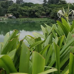 Jalagam Vengalrao Park