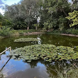 Jalamandali Park