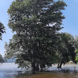 Jarakabandi State Forest