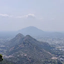 Jarugumalai Reserved Forest