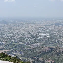 Jarugumalai Reserved Forest