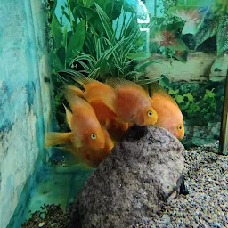 Jawahar Aquarium
