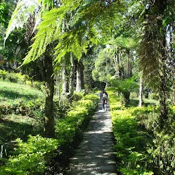 Jawaharlal Nehru Botanical Garden