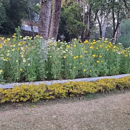 Jawaharlal Nehru Rose Garden