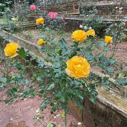 Jawaharlal Nehru Rose Garden