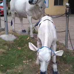 JDA Office, Gulbarga