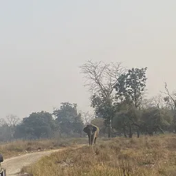 Jeep Safari in Rajaji National Park