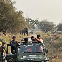 Jeep Safari in Rajaji National Park