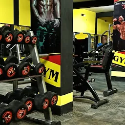 Jeevi Jiggi fitness Multi Gym