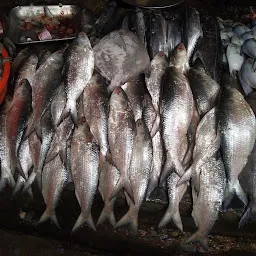Jetalpur Fish Market