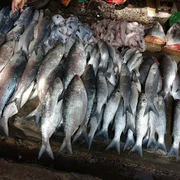 Jetalpur Fish Market