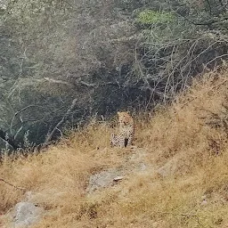 Jhalana Hunting Lodge