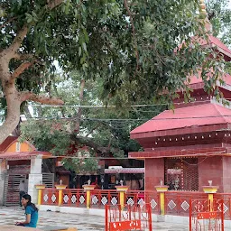 Jharkhandi Mandir Dwar & Jharkhandi Gate