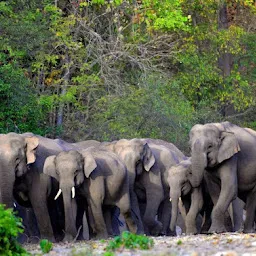 Jim Corbett