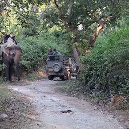 Jim Corbett National Park Ramnagar Tour Safari Packages