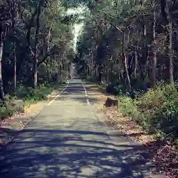 Jim Corbett National Park Uttarakhand India