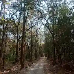 Jim Corbett National Park Uttarakhand India