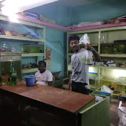 JK Aquarium