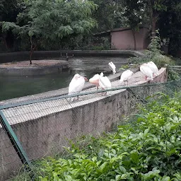 जलीय पक्षी का पिंजरा