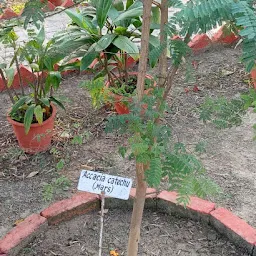 Jnpg College Botanical Garden