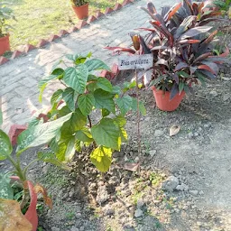 Jnpg College Botanical Garden