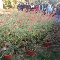 Jnpg College Botanical Garden