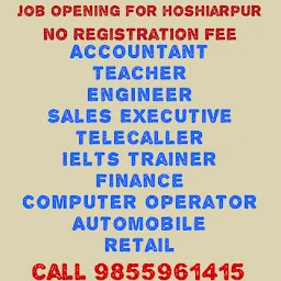 Job search india consultancy