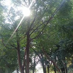 Jogging Track Vastu Park