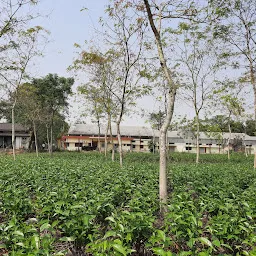 Jorhat Tea Auction Centre