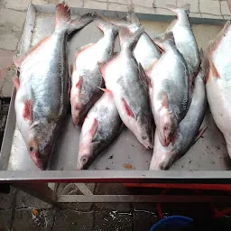 Jose Thoothukudi Sea Fish Market