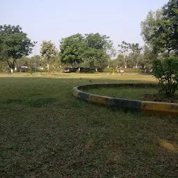 Juhunagar Sector 12 Garden