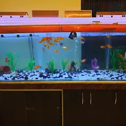 Junaid Fish Aquarium and Glass House