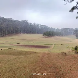 Jungle Love - Best Viewpoint Of Golflinks