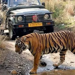 Safari Booking Ranthambhore - Jungle Track Safari