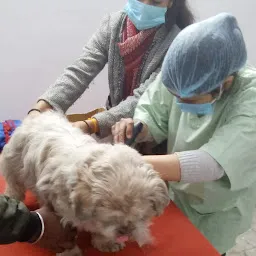 K. K. Vets animal clinic : Best Veterinary Doctor / Best Dog & Cat Clinic in Bareilly