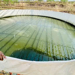 K. P FISH FARM