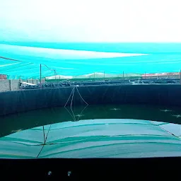 K. P FISH FARM