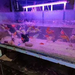 K S Home Aquarium