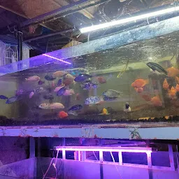 K S Home Aquarium