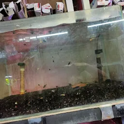 K S Home Aquarium