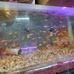 K S Home Aquarium