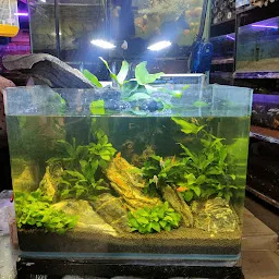 K S Home Aquarium