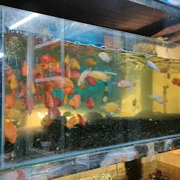 K S Home Aquarium